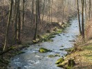 Podhorský vodní tok Vidnávka v Žulovské pahorkatině. Foto R. Hédl