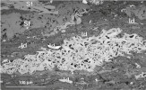 Mikroskopický snímek nábrusu černého uhlí. Drobné úlomky dřevěného uhlí „plovoucí“ v uhelné hmotě patří různým mikropetrografickým komponentám:  Id – inertodetrinit (drobné fragmenty, úlomky buněčných stěn), F – fusinit (světlejší varianta karbonizovaných buněčných pletiv), Sf – semifusinit (tmavší varianta požárem karbonizovaných rostlinných pletiv vznikající při nižších teplotách hoření). Uhlí sloje  Prokop, Důl Darkov. Foto S. Opluštil