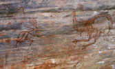 Skalní malba emu hnědého (Dromaius novaehollandiae). Národní park Kakadu. www.bushwalkingholidays.com.au/images/aborig/emu_03_1.jpg, převzato v souladu s podmínkami použití