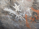 Klokan pronásledovaný dingy  a ježura. Skalní malba, národní park Namagi. Wikipedia.org, převzato v souladu s podmínkami použití