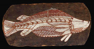 Lates stříbřitý (Lates calcarifer) – domorodá malba na kůře, kolem r. 1960. Arnhémská země. Fotografie převzaty v souladu s podmínkami použití, 