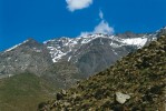 Kamenitá místa ve výškách i více než 3 000 m n. m. ve Vysokém Atlasu obývá endemický druh gekona Quedenfeldtia trachyblepharus. Foto A. Funk