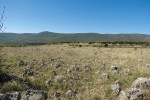 Otevřené stepní biotopy v Dalmácii – místa výskytu okáče P. afra. Okolí hory Svilaja. Foto A. Bartoňová