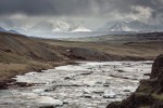 Někteří současní badatelé spatřují blízké analogie k vrcholně glaciálním po­měrům střední Evropy v horských oblastech jižní Sibiře. Má to své opodstatnění, protože v takových krajinách přežívají druhy rostlin, měkkýšů a drobných savců, které u nás s nástupem postglaciálních poměrů vyhynuly. Žádná analogie ale není dokonalá. Např. vysokohorské plato Ukok na Altaji (na fotografii) hostí řadu reliktních organismů i přesto, že drsné vysoko­horské prostředí s krátkým a studeným létem klimatickým poměrům středo­evropských glaciálů nemůže dost dobře odpovídat. Silný pastevní tlak ze strany domácích zvířat, jehož kořeny sahají  hluboko do pravěku, bychom naopak  za analogický považovat mohli, jestliže  si uvědomíme, jak početná byla stáda dnes vyhynulé pleistocenní megafauny. Foto P. Pokorný