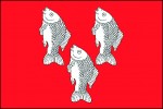  3	Vlajka obce Čepí, okres Pardubice, udělená v r. 2002. Při konstrukci vlajky byly využity barvy pardubického znaku, bílá a červená.