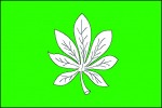Charakteristický list jírovce maďalu (Aesculus hippocastanum) na vexilologicky dokonalé vlajce obce Lhota v kladenském okrese, udělené v r. 2000. Představuje místní rozsáhlou kaštanovou alej.