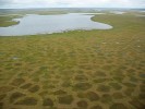 Polygony na povrchu permafros­tových půd vznikající v místech ledových klínů jsou patrné i z letadla. Foto N. N. Lašchinskij