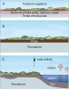 V dávnověku rostliny zabudovaly atmosférický uhlík do biomasy.  Po odumření se biomasa dostala do půdy a byla zakonzervována ve zmrzlé půdě a naplaveninách (A). Během tisíciletí vrstva zmrzlé půdy a sedimentů narůstala, čímž se vytvořily mocné vrstvy  permafrostu, které obsahují dvojnásobek uhlíku v porovnání s atmosférou (B).  V současné době vrstva permafrostu postupně odtává a uvolňuje se dříve zmrzlá organická hmota, která se mineralizuje činností mikroorganismů – na oxid uhličitý v aerobních podmínkách, nebo na oxid uhličitý a metan v anaerobních  podmínkách panujících v rašeliništích, terénních depresích a sedimentech termo­karstových jezírek (C). Podle různých zdrojů. Orig. M. Chumchalová