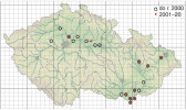 Rozšíření svinutce tenkého (Anisus vorticulus) v ČR – jasně patrná je vazba druhu na nivy větších řek. Přestože situace na mapě nevypadá tak dramaticky, je nutné si uvědomit, že s výjimkou jižní Moravy jde o izolované lokality, které často přestávají být vlivem sukcese, eutrofizace nebo sucha vhodné. V Čechách nejsou zakresleny úspěšně reintrodukované populace (v mapových polích 5856 a 5959), o nich někdy příště. Stav druhu v povodí Labe je popsán v textu, v povodí Odry svinutec žije v jediné tůni u Studénky, v Litovelském Pomoraví ve dvou spojených tůních a na Bečvě ve čtyřech malých tůních v jedné pískovně. Orig. J. Vrba
