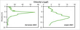 Vertikální profily koncentrace  chlorofylu a (měřítko množství fytoplanktonu) měřené ponornou fluorescenční sondou ve vodní nádrži Landštejn v červenci a srpnu 2021. Podpovrchové maximum bylo tvořeno rozsivkami. Orig. P. Rychtecký a P. Znachor