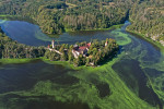 Vodní nádrž Orlík – masivní vodní květ sinic na soutoku Vltavy a Otavy  pod hradem Zvíkov (září 2020). Foto P. Znachor