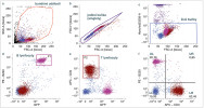 Příklad analýzy cytometrického vzorku během Praktického cvičení z imunologie na Přírodovědecké fakultě Univerzity Karlovy. Mízní uzlina z geneticky modifikované myši (s molekulou MHC II spojenou se zeleným fluorescenčním proteinem GFP) byla převedena do buněčné suspenze a inkubována fluorescenčním barvivem Hoechst33258, s protilátkami CD3 (typická molekula T lymfocytů) a B220 (varianta molekuly CD45 typická pro B lymfocyty) s kovalentně navázanými fluorofory PE (phycoerythrin) a APC (allophycocyanin), které je spolu s GFP možné od sebe dobře fluorescenčně oddělit. Některé buňky v suspenzi jsou pozitivní pro GFP (ty, které syntetizují MHC II, jde o antigen-prezentující buňky), některé nesou navázanou protilátku rozpoznávající CD3, jiné protilátku rozpoznávající B220. Buněčná suspenze tak obsahuje čtyři fluorescenční látky – protein GFP, Hoechst33258, PE a APC. Celkem byly nasbírány signály z 10 tisíc buněk.  A – pomocí bočního a přímého rozptylu (side a forward scatteru, SSC-A a FSC-A) je analyzována velikost a granularita bu­něk. Je zvolen region (červeně), v kterém se typicky nacházejí buněčné události.  B – dále jsou fialovým regionem identifikovány události obsahující jednu jedinou buňku (singlety) z buněčných událostí.  C – Hoechst33258 neproniká do živých buněk, pozitivita na ose y identifikuje během experimentu poškozené buňky nebo buňky apoptotické, které jsou z další analýzy odstraněny pomocí modrého regionu (obsahujícího živé buňky).  V grafech D, E a F jsou tedy analyzovány pouze živé jednotlivé buňky.  D – vynesení pozitivity protilátky rozpoznávající B220 (osa y) proti MHC II-GFP. Region P1 označuje populaci B lymfocytů (fialově, B220+, MHC II+).  E – vynesení pozitivity protilátky proti CD3 (osa y) proti MHC II-GFP. Region P2 označuje T lymfocyty (hnědě, CD3+, MHC II–). F – vynesení pozitivity protilátky rozpoznávající B220 (osa y) proti pozitivitě protilátky proti CD3 (osa x). V jednotlivých kvadrantech jsou identifikovány a kvantifikovány tři hlavní buněčné populace v mízních uzlinách: UL – B lymfocyty (20,76 %), LR –  T lymfocyty (62,45 %) a LL – populace  dvojitě negativních bílých krvinek  (např. NK buněk, 15,93 %). Z archivu katedry buněčné biologie PřF UK