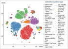 Ukázka multiparametrické analýzy dat umožňující rozlišení 40 různých buněčných typů. Orig. O. T. Butron (www.colibri-cytometry.com)