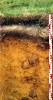 Půdní profil podzolu v horském  smrkovém lese na Mumlavské hoře v Krkonoších. Zřetelně jsou vidět půdní horizonty – humusový, vybělený  (eluviální) a obohacený železitými  a hlinitými sloučeninami (iluviální). Foto F. Novák