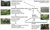 Konceptuální biogeomorfologický model vývoje přirozených lesů.  Orig. P. Šamonil, upraveno podle:  J. D. Phillips a kol. (2017)
