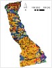 Neobyčejně komplexní mapa půd Boubínského pralesa. Barvy vyjadřují výskyt specifických půdních jednotek, které se vzájemně liší projevem stagnující vody, stupněm zvětrávacích a vyluhovacích procesů nebo obsahem kamenů. Každá barva vyjadřuje jinou půdní  jednotku (kryptopodzoly modální  jsou oranžové apod.), silnější okraje čtverců se šířkou hrany 22 m ukazují  na vysoký obsah kamenů.  Podle: P. Daněk a kol. (2016), upraveno