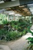 Pavilon bromeliovitých rostlin v Botanické zahradě v Rio de Janeiru v r. 2005. Foto M. Studnička
