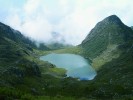 Laguna Alcohol (Kolumbie) v nadmořské výšce 3 900 m obklopená páramem představuje typický biotop řady zástupců rodu Lasiocephalus.