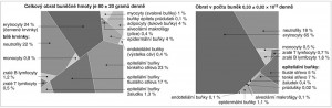 Obměna jednotlivých buněčných typů přepočtená na hmotnost a počet buněk. Na počet (vpravo) jasně vítězí  červené krvinky, na hmotnost je situace vyrovnanější, spolu s červenými krvinkami jde o neutrofilní granulocyty a epitely tenkého a tlustého střeva. Upraveno podle: R. Sender a R. Milo (2021)