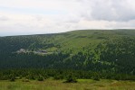 Svah Vysoké Hole v Hrubém Jeseníku. Okáč rudopásný (Erebia euryale) zde létá na světlinách v pásmu lesa a na horní hranici lesa, kde dosahuje vyšších početností. Alpínské bezlesí obývá jeho vzácný příbuzný okáč horský (E. epiphron). Na hranici lesa se oba druhy vyskytují společně. Velkou výzvou pro ochranu přírody je odstranění nepůvodní borovice kleče (Pinus mugo), která stále více zarůstá biotop okáče  horského. Foto J. Šlancarová