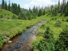 Typický biotop okáče rudopásného v okolí Modravského potoka,  Šumava. Foto J. Bochenková