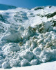 Čelo jedné z mnoha základových lavin v Úpské jámě. Doklad přírodní  disturbance, která udržuje závětrné  svahy ledovcových karů již od konce  třetihor trvale bezlesé. Foto J. Štursa