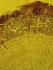 Příčný řez stonkem lípy (Tilia). Zvětšení 100×, ve světelném mikroskopu. Vynikají sekundárně ztloustlé buněčné stěny – obsahují lignin a vytvářejí letokruhy. Viditelná je i lýková část cévního svazku a periderm (sekundární krycí pletivo).