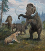 Mamut srstnatý odrazující smilodona. Setkání těchto ikon doby ledové by bylo vzácné. Na jihu Severní Ameriky byl rozšířen jiný druh mamuta – m. kolumbuský (Mammuthus columbi). Nálezy druhu Smilodon fatalis z Kanady však prokazují, že se některým populacím podařilo proniknout i do mamutí stepi, a tak se tyto obrovské šelmy setkávaly i s chladnomilným mamutem srstnatým (M. primigenius). Orig. P. Modlitba (2019)