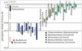 Chronologický přehled výskytu jednotlivých skupin šavlozubých predátorů. Upraveno podle: H. Ostende a kol. (2006)