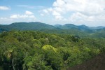 Rezervaci Sinharaja tvoří pásmo horských hřebenů dlouhé zhruba 21 km. Snímek J. Májsky Snímek J. Májsky