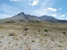 Trvalé výzkumné plochy prof. Rogera del Morala na planinách pod kráterem. Foto K. Prach
