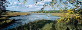 Padrťské rybníky – jedna z jádrových zón připravované CHKO Brdy.  Foto P. Mudra 