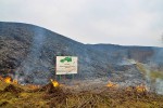 Stepi na lokalitě Kasova hora se tak jako mnohde jinde na západní Ukrajině dosud pravidelně vypalují. Převzato: http://report.if.ua/gazeta/akcent/Zgorila-Kasova-gora/, s laskavým svolením