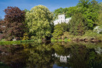 Krajinářský protipól vily tvoří století jedinci jírovce maďalu (Aesculus hippocastanum) a červeně rašící javor mléč (Acer platanoides ′Schwedleri′). Foto P. Florian