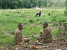 Stopaři z etnika BaAka při sledování habituované skupiny Makumba  pojmenované po dominantním samci. Foto z archivu B. Pafčo