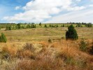 Silně odvodněné minerotrofní ostřicové rašeliniště, kde dominují ostřice obecná (C. nigra), smilka tuhá (Nardus stricta), bezkolenec modrý (Molinia caerulea) a metlice trsnatá (Deschampsia cespitosa). Původní rašeliništní druhy se zde vyskytují ojediněle ve vlhčích prohlubních. Foto Z. Urbanová