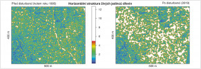 Zobrazení horizontální struktury lesa před disturbancí (zhruba r. 1995) a po ní (2019) na přeshraniční ploše (rozměry 500 × 400 m) v oblasti Špičníku. Struktura je vyjádřena pomocí distribuce volného prostoru bez dřevin. Vzdálenost každého bodu k nejbližšímu vyskytujícímu se živému jedinci dřeviny (jakékoli výšky) ukazuje barevná stupnice do 5 m. Bílé oblasti mají tedy vzdálenost k nejbližšímu  jedinci dřeviny větší než 5 m. Orig. autoři článku