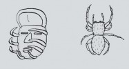 Západoafrická obřadní maska  boha Anansiho, který měl podobu pavouka. Po něm byla nazvána  botswanská skákavka Sibianor anansii. Orig. T. Pavlík