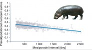 Pravděpodobnost, že se narodí samec, vzhledem k délce meziporodního intervalu u hrošíka liberijského  (Choeropsis liberiensis) v zoo (n = 715 potomků u 105 různých samic). Originál J. Pluháček