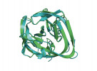 Srovnání experimentálně určené a předpověděné struktury termolyzinu (PDB kód 6tmn). Experimentální struktura proteinu zeleně, struktura predikovaná programem AlphaFold modrozeleně. Vizualizováno programem PyMol. Orig. M. Novotný