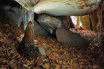 Pseudokrasová jeskyně v Prachovských skalách s kořenovým stalagmitem – další typický biotop temnomila sklepního. Foto V. Šoltys