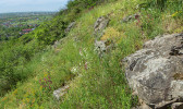 Mozaika křovin a stepí v údolí řeky Už u vesnice Onakovci. Foto K. Chytrý