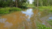 V Rokycanech pomáhají mělké tůně udržovat fanoušci vojenské techniky. Foto V. Kolář