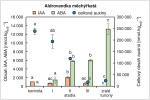 Obsah celkových a aktivních auxinů (IAA) a kyseliny abscisové (ABA) ve vzrostných vrcholech rostoucích letních prýtů (jako kontrola), ve třech vývojových stadiích turionů a ve zralých turionech aldrovandky měchýřkaté. Uvedeny jsou intervaly ± střední chyba průměru. Statisticky průkazné rozdíly pro jednotlivé druhy mezi jednotlivými stadii znázorněny různými písmeny jen při statistické hladině průkaznosti pod 0,05. Upraveno podle: L. Adamec a kol. (2024). Orig. L. Plačková