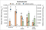 Obsah celkových a aktivních auxinů (IAA) a kyseliny abscisové (ABA) ve vzrostných vrcholech rostoucích letních prýtů (jako kontrola), ve třech vývojových stadiích turionů a ve zralých turionech bublinatky jižní. Uvedeny jsou intervaly ± střední chyba průměru. Statisticky průkazné rozdíly pro jednotlivé druhy mezi jednotlivými stadii znázorněny různými písmeny jen při statistické hladině průkaznosti pod 0,05. Upraveno podle: L. Adamec a kol. (2024). Orig. L. Plačková