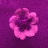 Mochna plazivá (Potentilla reptans), květ v UV dává vyniknout typickému ultrafialovému vzoru, známému u mnoha nejen žlutě kvetoucích rostlin – UV-absorpční střed obklopený UV-reflektantní plochou. Tento vzor je někdy nazýván termínem bull's-eye, kterým se v angličtině označuje střed terče či rána do černého. Foto P. Pecháček