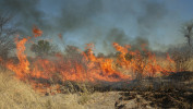 Na africkém venkově je oheň využíván v běžném hospodaření v krajině včetně prevence nežádoucích požárů. Okraj Kalahari v Botswaně. Foto D. Storch