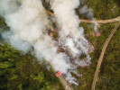 Cílené vypalování vřesoviště v Brdech v r. 2016 proběhlo na malé ploše za účelem požárního cvičení. Jako nástroj ochrany přírody tu oheň na svou příležitost stále čeká. Foto P. J. Juračka