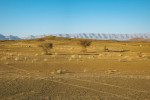 Planina Ternata severně od města Zagora v Maroku s výchozy fezouatských břidlic (pahorky v popředí) stáří  spodního ordoviku. Útesy v pozadí  jsou tvořeny pískovci stáří středního  až svrchního ordoviku. Foto  L. Laibl