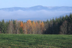 Podzim u Vysokého nad Jizerou, v pozadí hřeben Krkonoš s Kotlem. Foto M. Říha